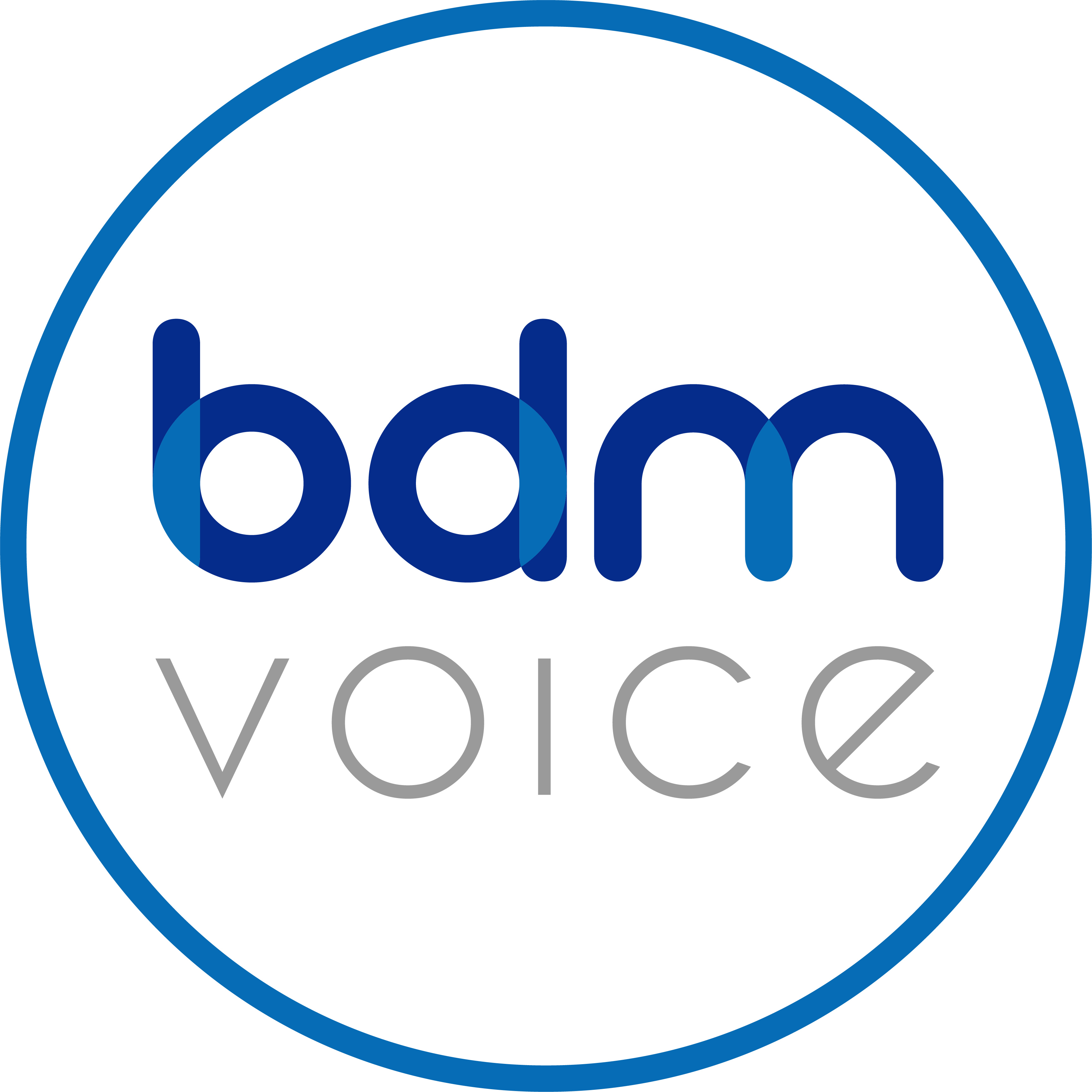 (c) Bdm-voice.co.uk